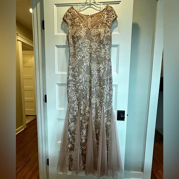 Evening Gown (or Prom Dress) / size 10 / worn once - Picture 2 of 4